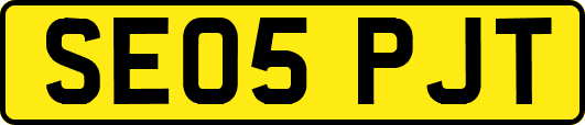 SE05PJT