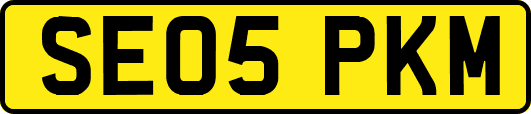 SE05PKM