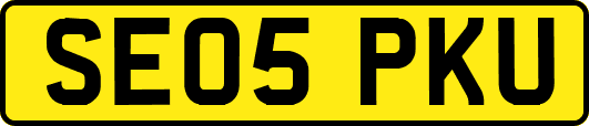 SE05PKU