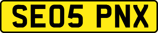 SE05PNX