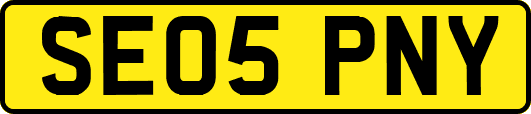 SE05PNY