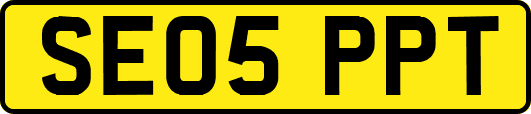 SE05PPT