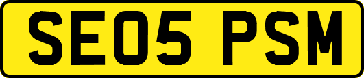 SE05PSM