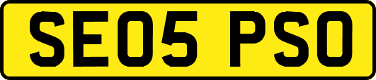SE05PSO