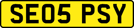 SE05PSY
