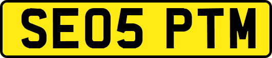 SE05PTM
