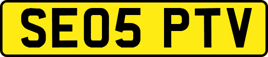 SE05PTV