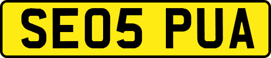 SE05PUA