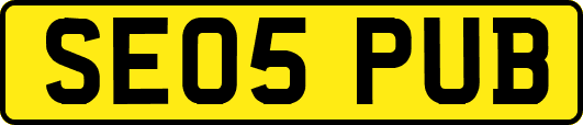 SE05PUB