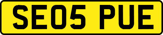SE05PUE