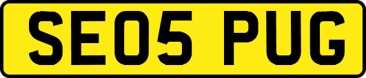 SE05PUG