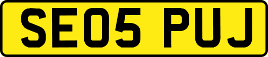 SE05PUJ