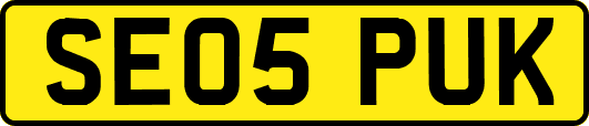 SE05PUK