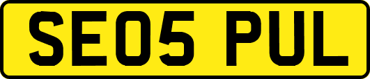 SE05PUL
