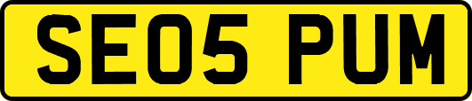 SE05PUM