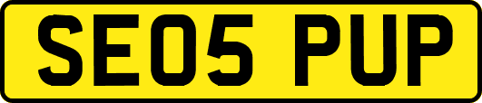 SE05PUP