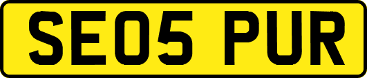 SE05PUR