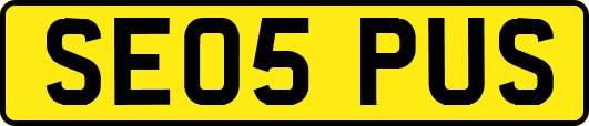 SE05PUS