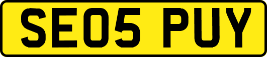 SE05PUY