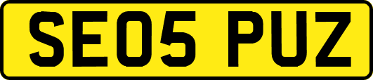 SE05PUZ