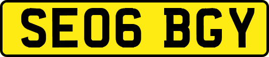 SE06BGY