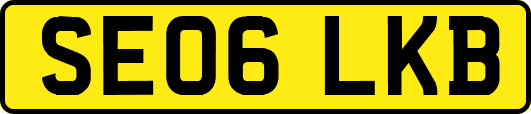 SE06LKB