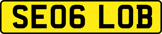 SE06LOB