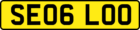 SE06LOO