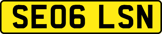 SE06LSN