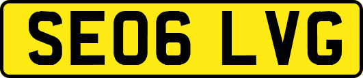 SE06LVG