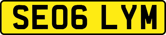 SE06LYM