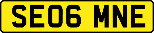 SE06MNE