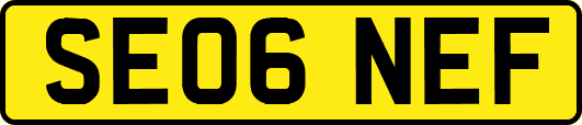 SE06NEF
