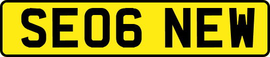 SE06NEW