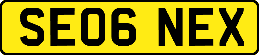 SE06NEX