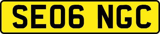 SE06NGC
