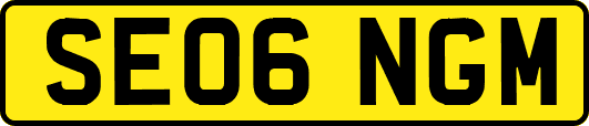 SE06NGM