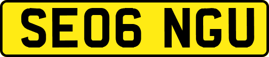 SE06NGU