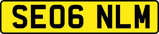 SE06NLM