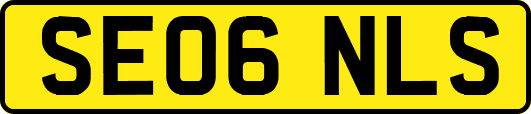 SE06NLS