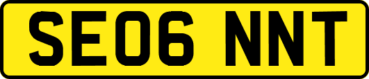 SE06NNT
