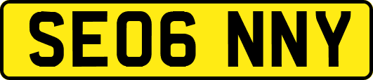 SE06NNY