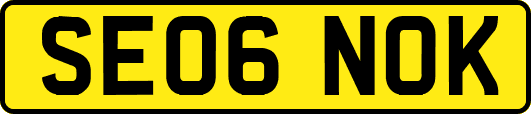 SE06NOK