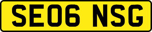 SE06NSG