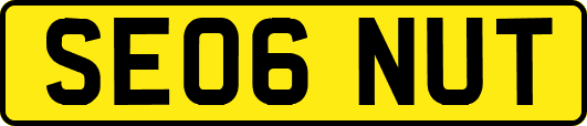 SE06NUT