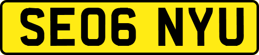 SE06NYU