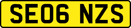 SE06NZS