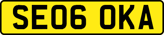 SE06OKA