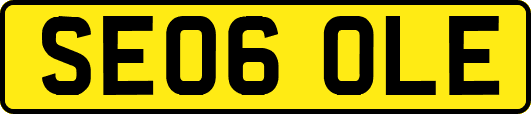 SE06OLE