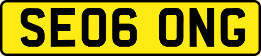 SE06ONG